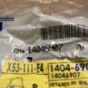 Genuine GM OEM Multi-Purpose Clip 14046907