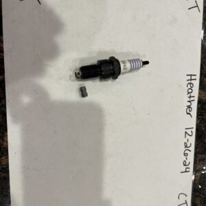 Motorcraft AG42 Spark Plugs