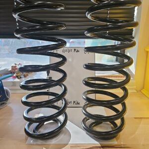 Coil Spring Set Moog 81049