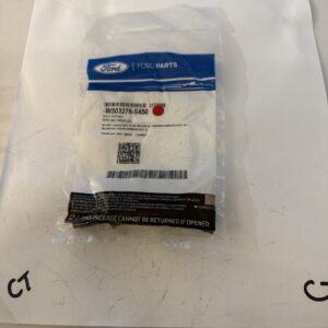 Genuine Ford 2018-2025 F-150 Nautilus Mustang Water Pump Bolt W503276-S450