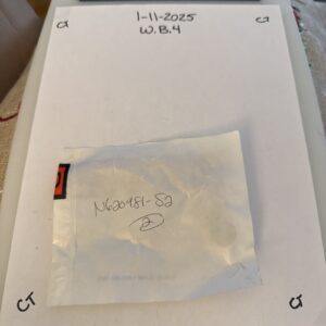 Genuine Ford Support Bracket Nut (QTY 2) N620481-S2