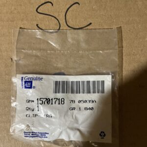 Genuine GM Multi-Purpose Clip 15701718