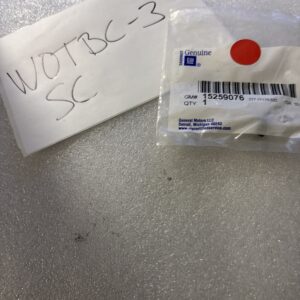 Genuine GM Multi-Purpose Plug 15259076