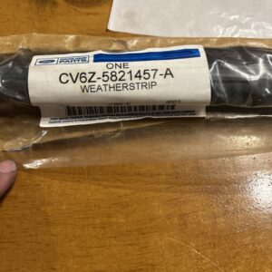 NEW OEM Ford Front Left Inner Belt Weatherstrip CV6Z-5821457-A Focus 2012-2018