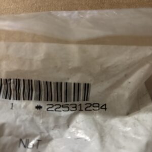 NOS OEM GM 22531294 Tire Valve cover lock nut 1986-1991 BUICK OLDS PONTIAC