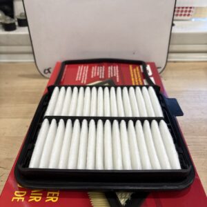 PTC Air Filter PA5698 (FRAM CA10159)