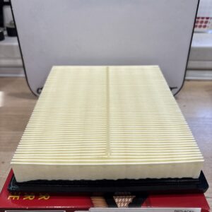 PTC Air Filter PA6114 (FRAM CA10741)