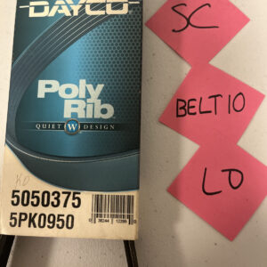 Serpentine Belt-GAS Dayco Poly Rib 5050375