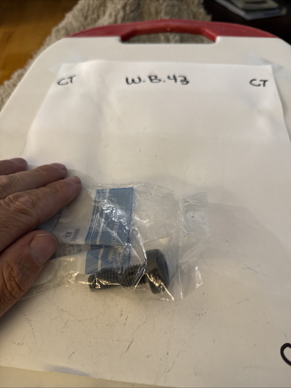 (1) Genuine Ford OE Screw W504903-S451 Sold Individually - Image 3