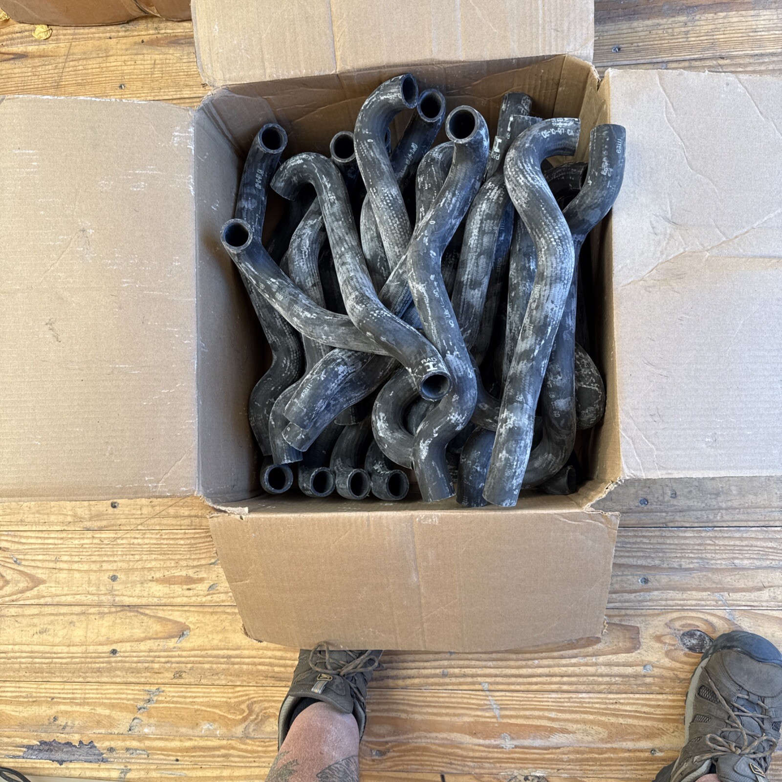 1 Genuine GM 1598-0808 Radiator Coolant Hose Lower 2.5L, 2.2L. 1990-2003 S10 S15 - Image 4