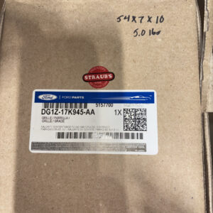 FORD OEM 13-19 Taurus Front Bumper Bumper Components-Bumper Grille DG1Z17K945AA