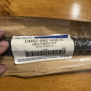 FORD OEM Front Door Window Sweep-Belt Molding Weatherstrip Right DM5Z5821456A