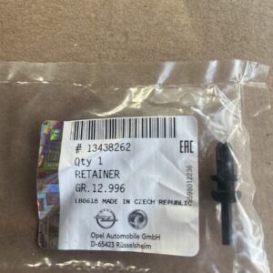 GM 13438262 Retainer, Lugg Shade