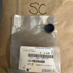 GM NOS 92054485 Wiper Arm Plug Cover For 2004-2006 Pontiac GTO OEM