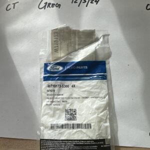 Genuine Ford Headlamp Assembly Retainer Nut W719173-S300