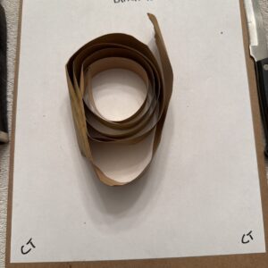 Gm Door Stripe 3957064