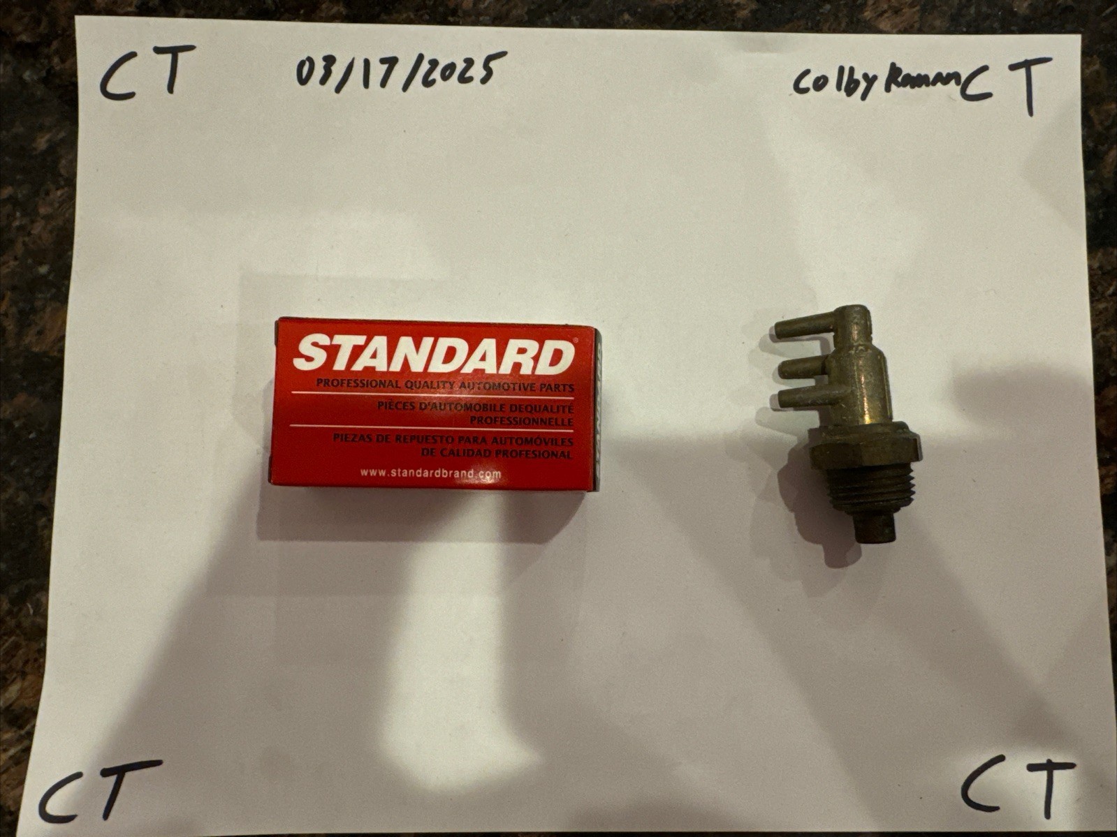 Standars Switch/ commutateur Interruptor PVS6