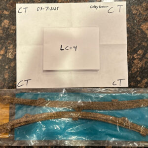 The Quality Set Valve Cover Gasket VS38319CR