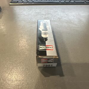 Champion Spark Plug Ignition Champion Double Platinum - Boxed - RE14PYPB4