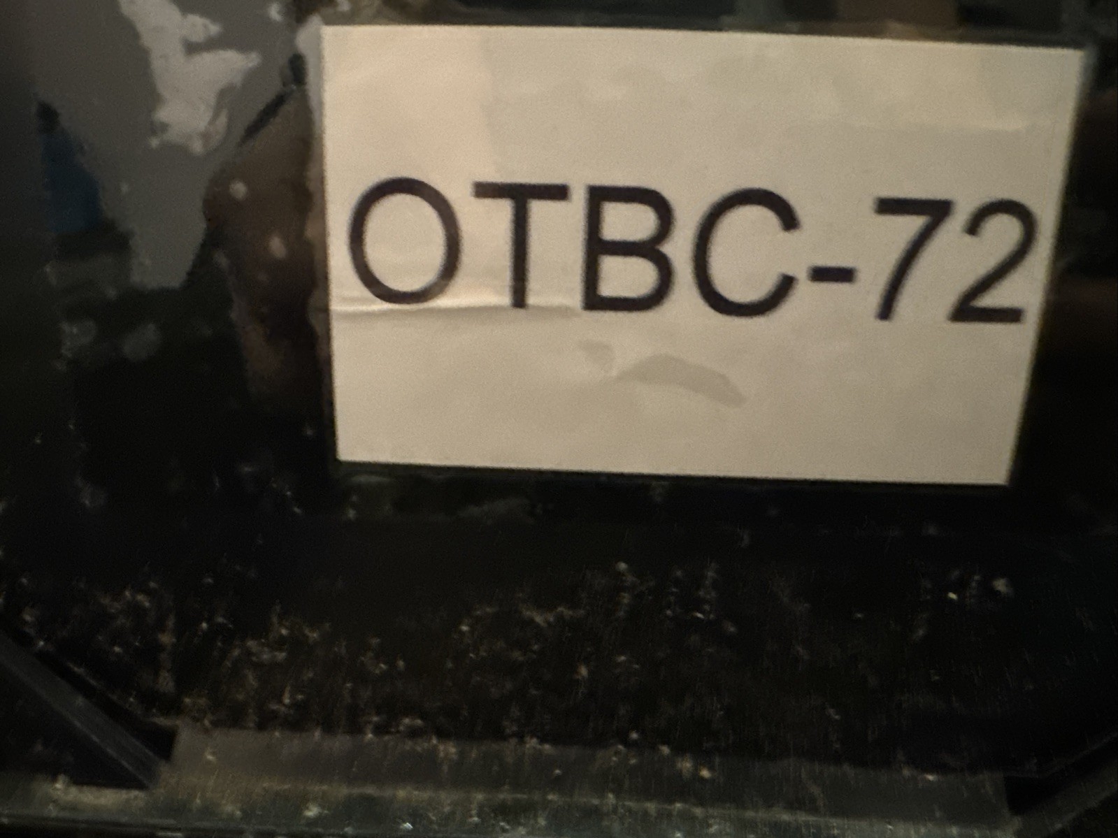 Distributor Rotor Standard JR84T - Image 4