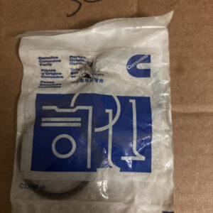 Genuine Cummins 3902089 Water Seal O-Ring - Made in USA