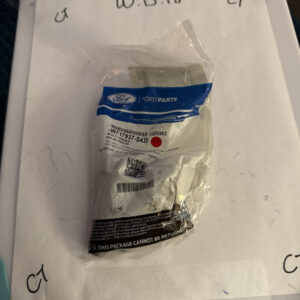 Genuine Ford OEM Caliper Support Bolt W717937-S439 Sold Individually