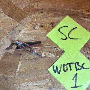 Genuine GM Multi-Purpose Light Bulb 9433102