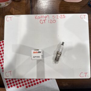 Spark Plug Autolite AP103 Platinum