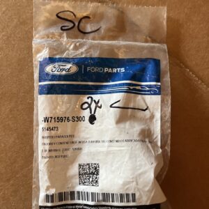 (x2) New Genuine Ford Bumper W715976S300 / W715976-S300 OEM